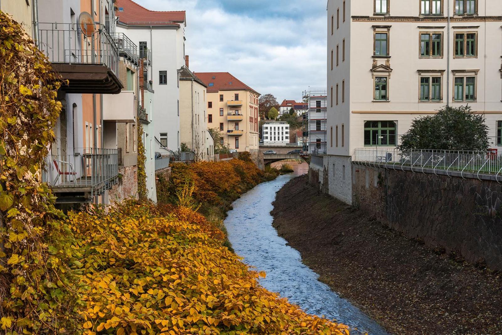 Benville Meissen - Free Parking - Nespresso Kaffee - Stylisch Exterior foto